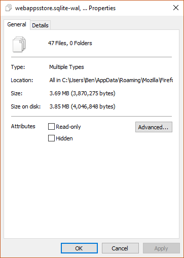 Firefox generated data files
